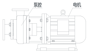 直聯(lián)泵示意圖